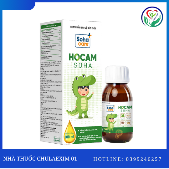 TPBVSK HOCAM SOHA (HỘP 1 CHAI 100ML)